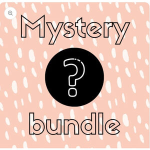 Mystery Bundle 6lb Clothing Men’s Women’s variety of sizes